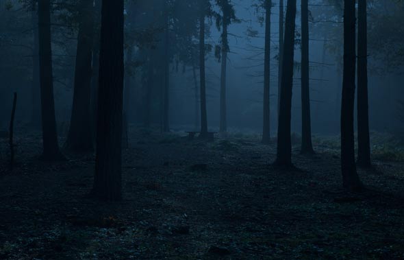 How to Create a Dark, Eerie Forest Scene in Photoshop - PSD Stack