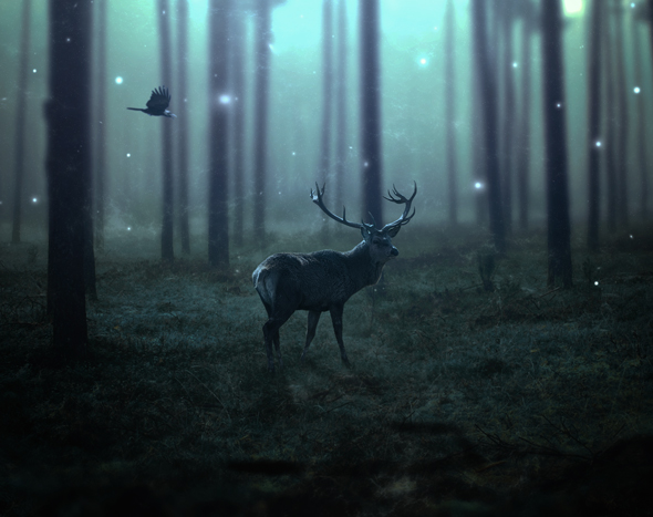 Dark, Emotional Deer Photo Manipulation