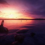 Create a Fantasy, Emotional Dreamy Lake Scene in Photoshop