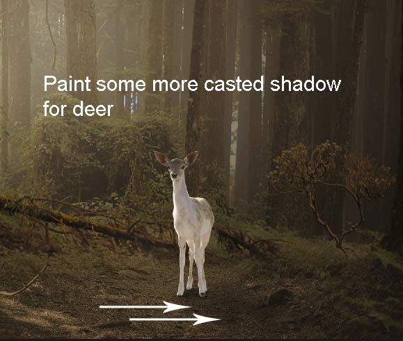 deer13a
