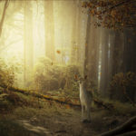 Create a Fantasy Deer Photo Manipulation in Photoshop