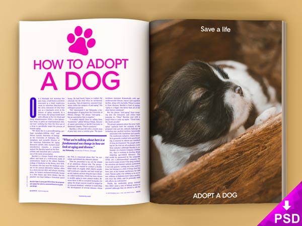 pet-magazine-mockup