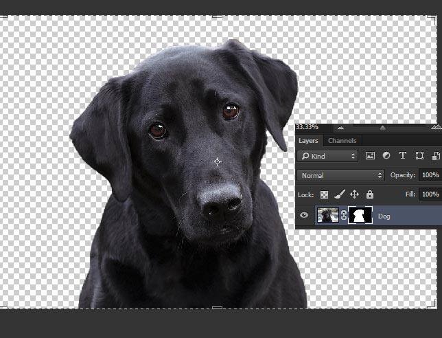 How To Remove Background In Photoshop Psd Stack How To Remove Background In Photoshop Psd Stack
