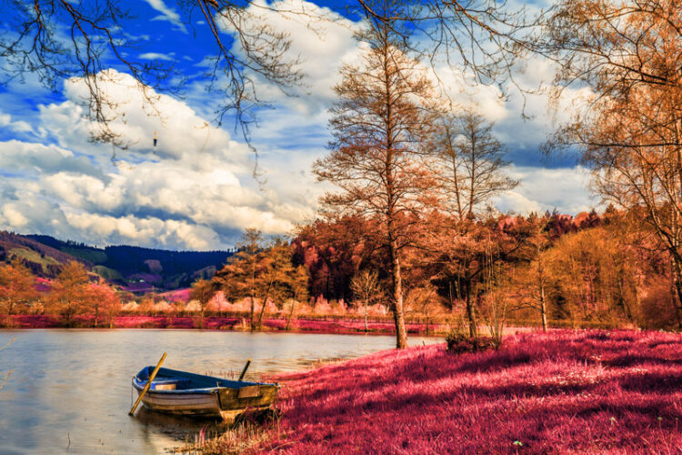 3 Free Infrared Photo Effect Actions PSD Stack