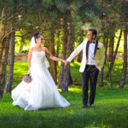 Wedding Presets Collection - Image 7