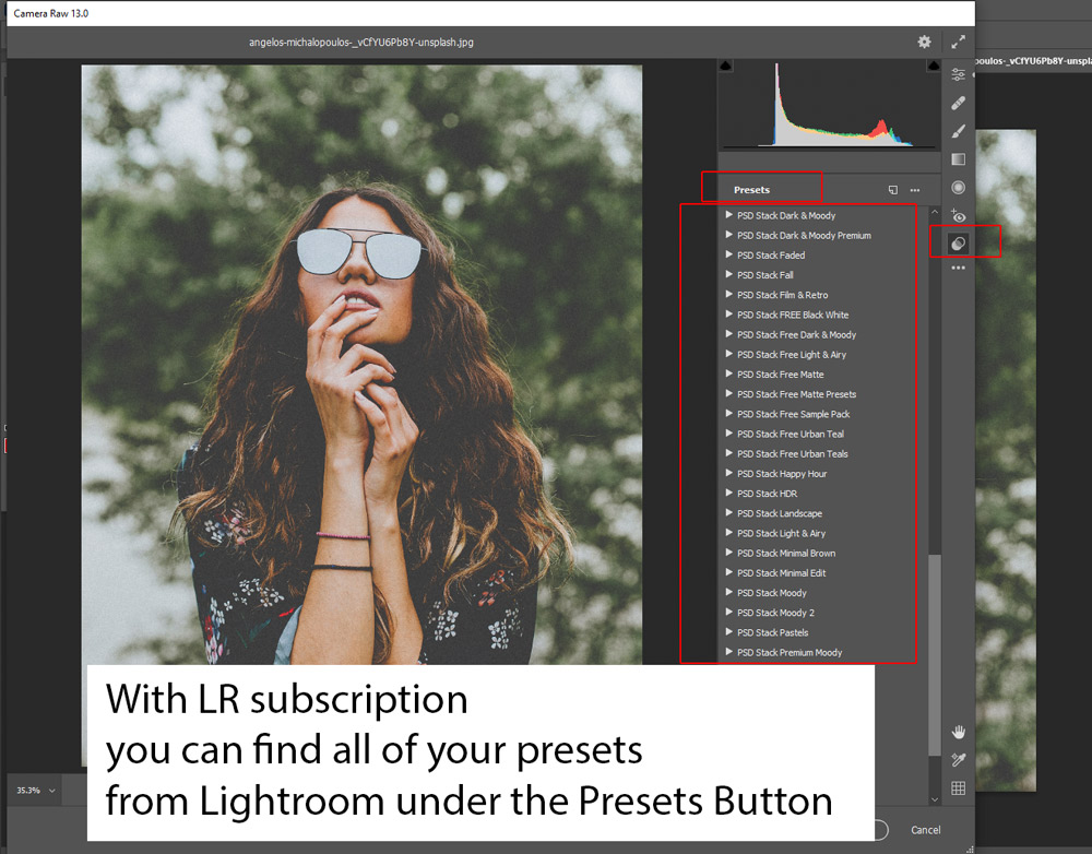 how to free presets on adobe lightroom