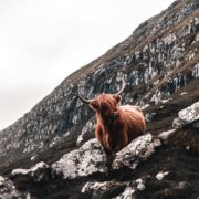 Landscapes Adventure Presets - Image 6