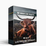 Lightroom Toolkit Presets