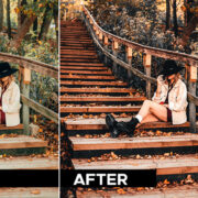 Lightroom Toolkit Presets - Image 7