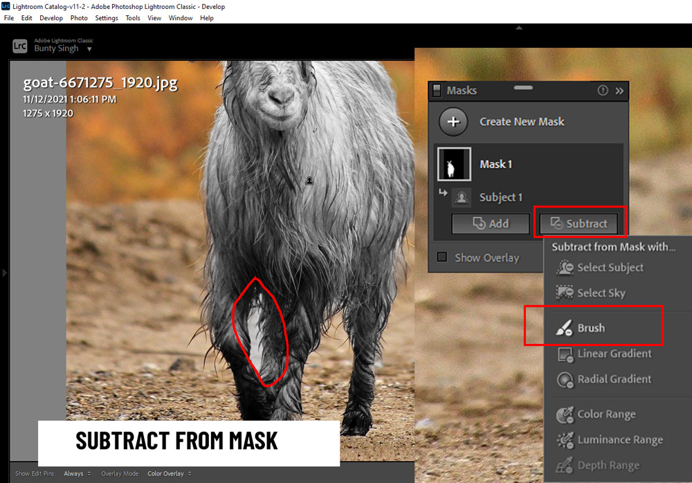 Lightroom Masking Tools Explained PSD Stack