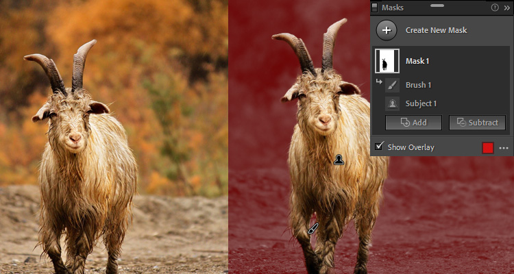 Lightroom Masking Tools Explained PSD Stack