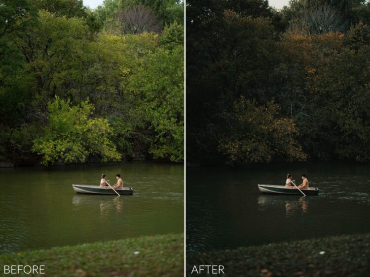 Dark & Moody Presets - Image 8