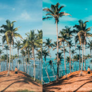 Tropical Blues - Image 6