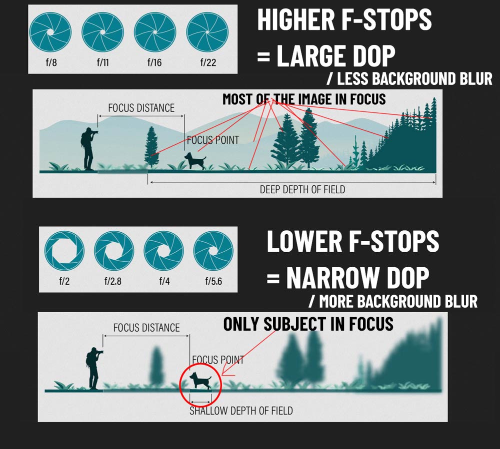 Simple Chart Shows How Aperture, Shutter Speed and ISO Affect Your Photos »  TwistedSifter