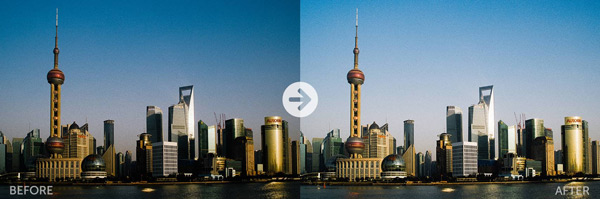 Ferrania-Solaris-PLus-100-Preset-before-after