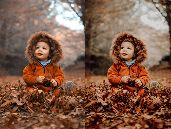 Free-Autumn-Mood-Preset-featured