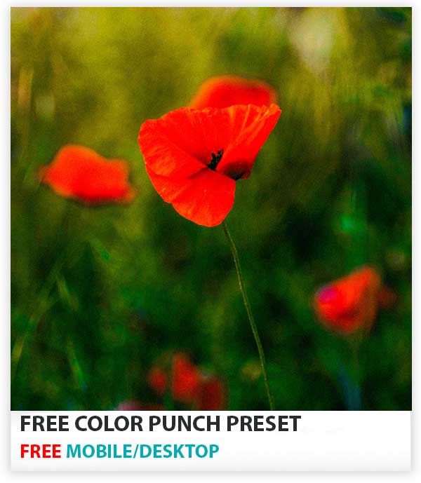 Color Punch Background Free Color Punch Preset - PSD Stack