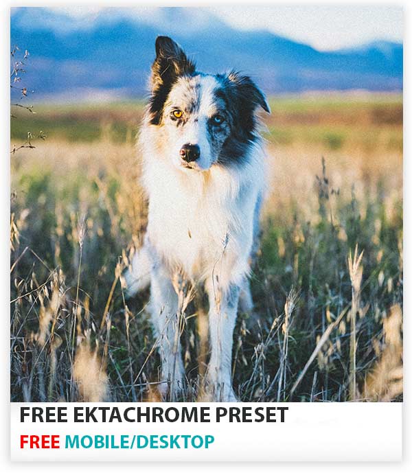 Free-Ektachrome-Preset