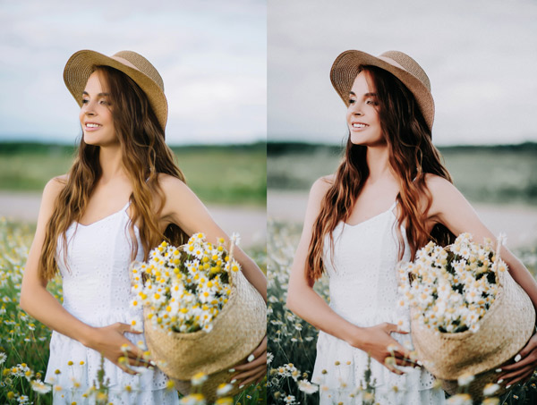 Free-Muted-Tones-Preset-featured