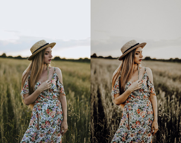 Free-Rich-Mood-Preset-featured