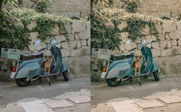 free-classic-film-preset-featured