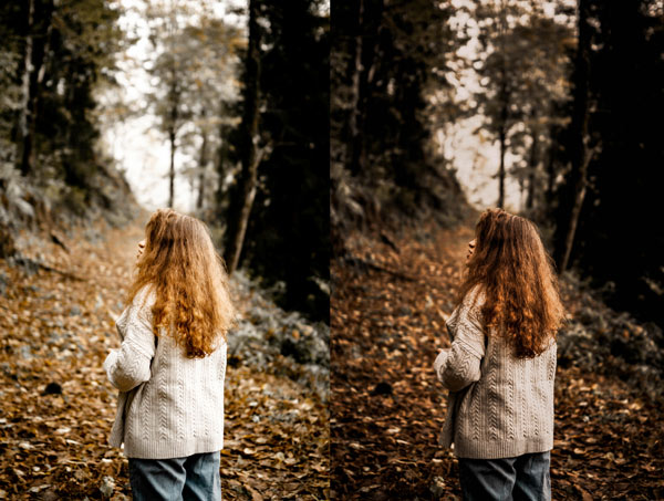 free-dark-autumn-preset-featured