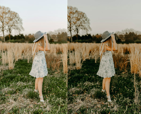 free-moody-rich-presets-feartured