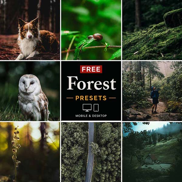Free Forest Presets Category