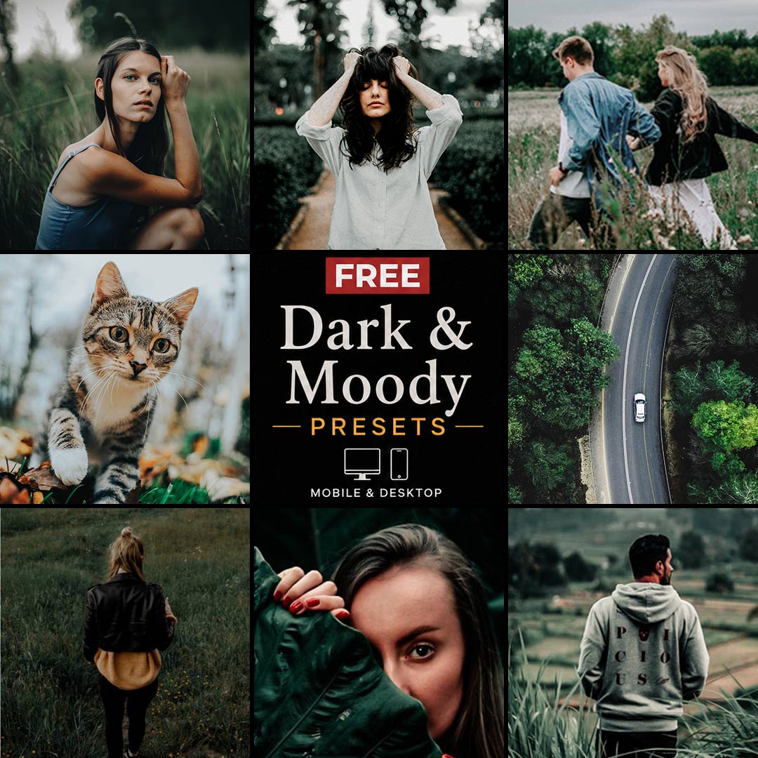 Free Dark & Moody Presets Category