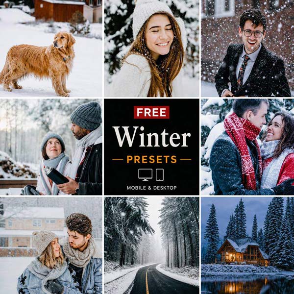 Free Winter Presets Category