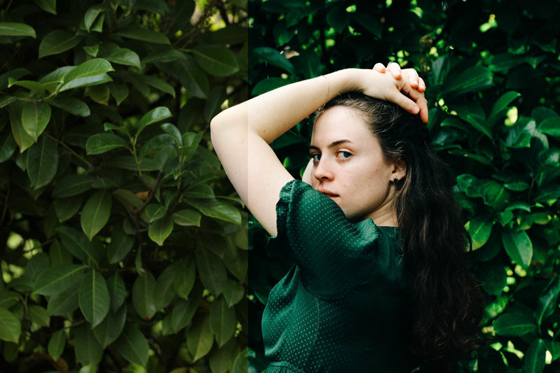 Wildfern Lightroom Preset before and after comparison