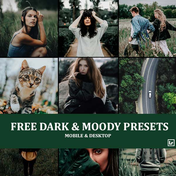 Free Dark Moody Presets Category