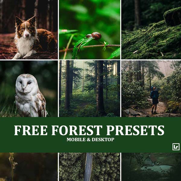 Free Forest Presets Category