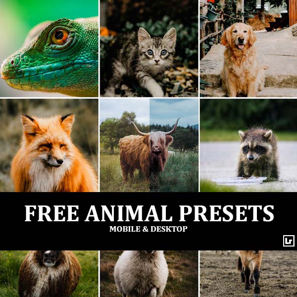 Free Animal Presets Category