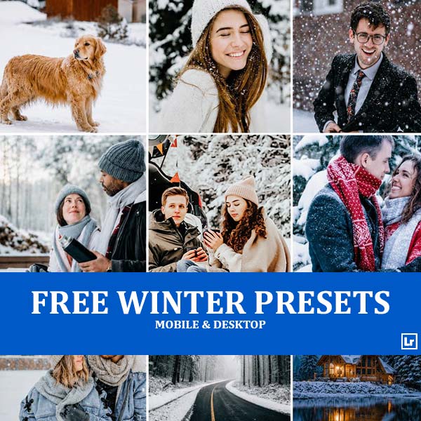 Free Winter Presets Category