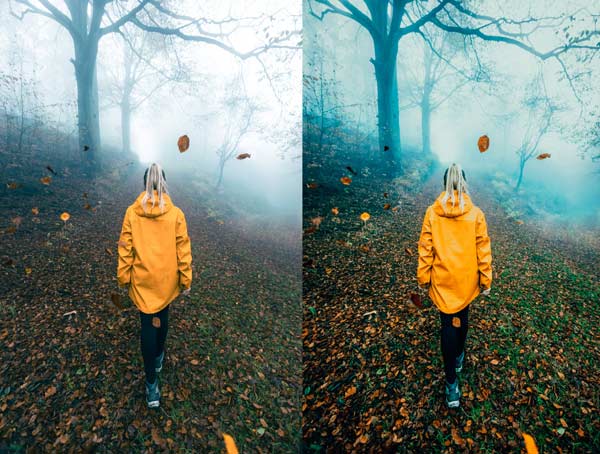 Free-Falling-Leaves-Preset-before-after