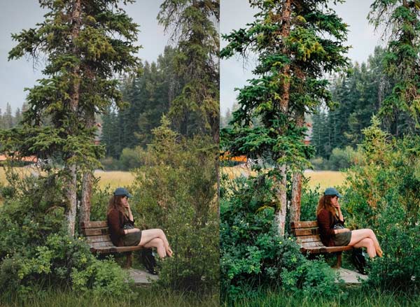 Free-Meadow-Break-Preset-before-after